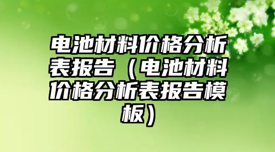 電池材料價格分析表報告（電池材料價格分析表報告模板）