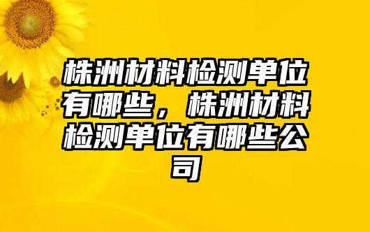 株洲材料檢測單位有哪些，株洲材料檢測單位有哪些公司