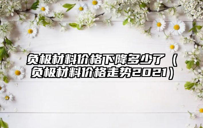 負極材料價格下降多少了（負極材料價格走勢2021）