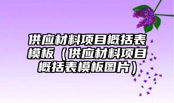 供應材料項目概括表模板（供應材料項目概括表模板圖片）