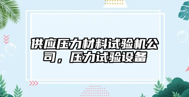 供應壓力材料試驗機公司，壓力試驗設備