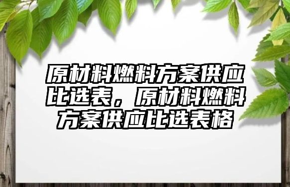 原材料燃料方案供應比選表，原材料燃料方案供應比選表格