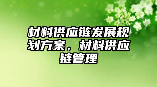 材料供應鏈發展規劃方案，材料供應鏈管理